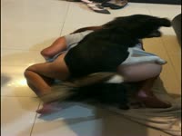 dog licking 